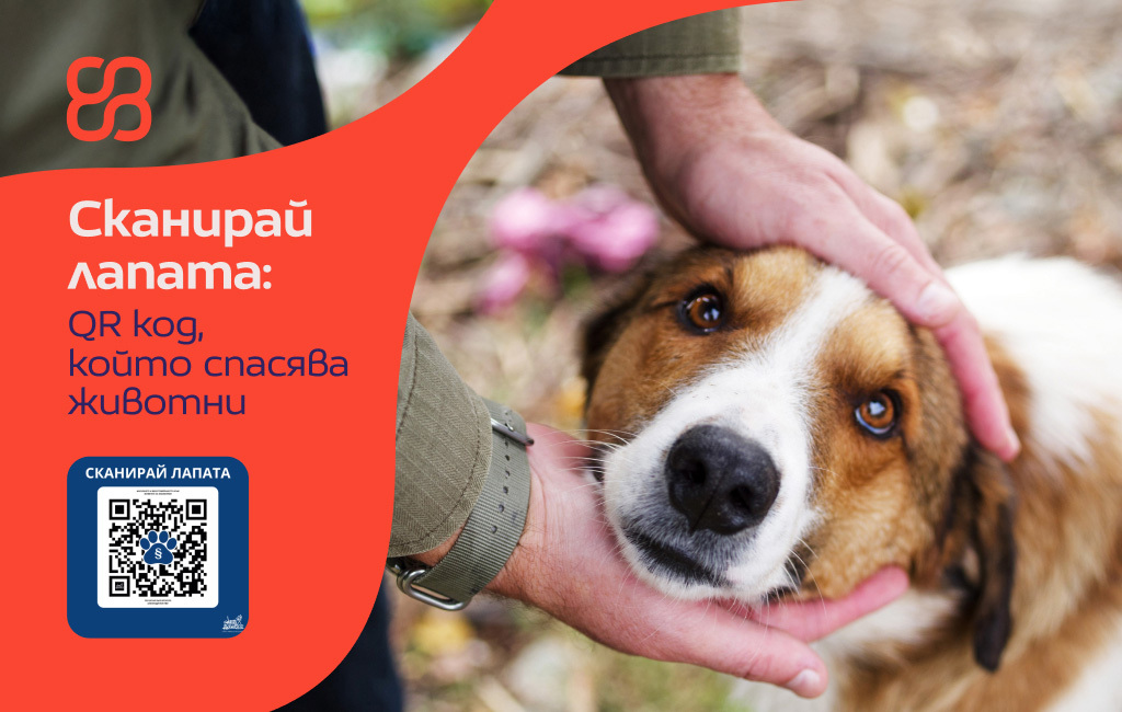 Credissimo подкрепя кампанията на Stray Angels Bulgaria за информираност и отговорно отношение към животните