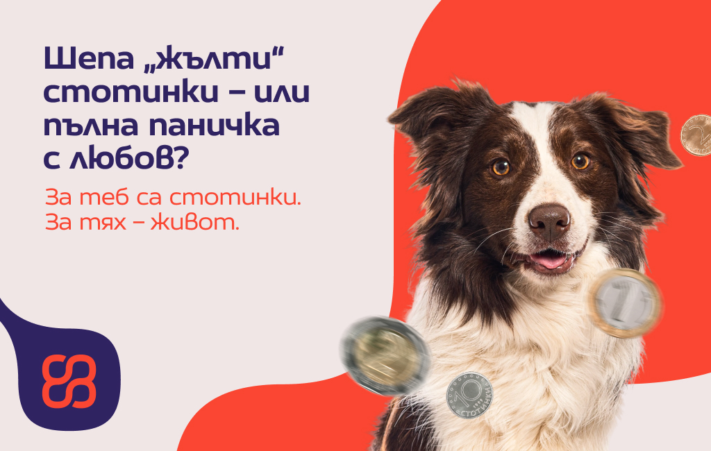 Шепа „жълти“ стотинки – или пълна паничка с любов?