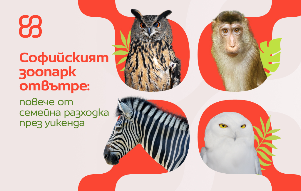 Софийският зоопарк отвътре