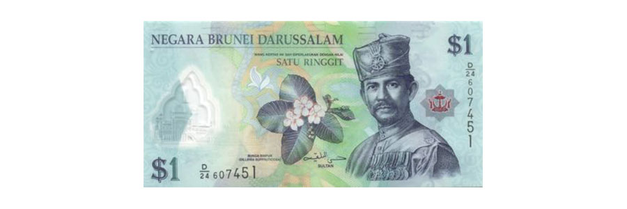 лице банкнота на един бурнейски долар